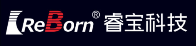 睿寶電子LOGO